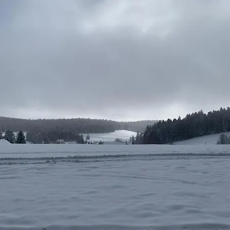 アパート Schoenes Einzimmer Schwarzwald Mit Balkon In *