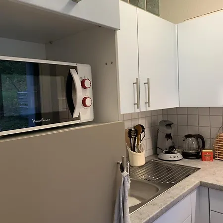 Schoenes Einzimmer Schwarzwald Mit Balkon In Apartment