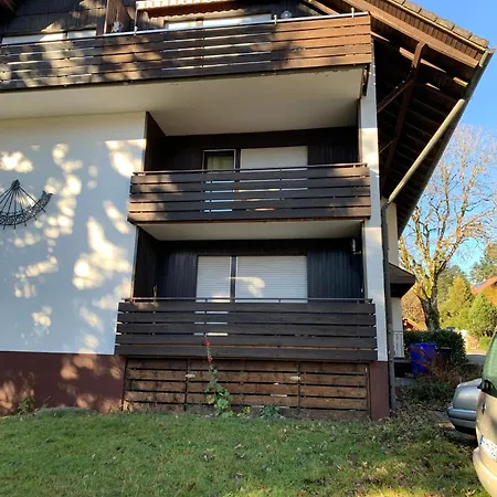 Apartment Schoenes Einzimmer Schwarzwald Mit Balkon In *