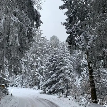 Schoenes Einzimmer Schwarzwald Mit Balkon In アパート