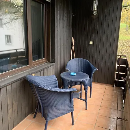 Apartment Schoenes Einzimmer Schwarzwald Mit Balkon In
