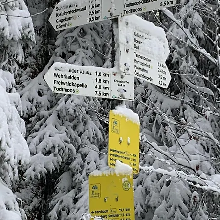 Schoenes Einzimmer Schwarzwald Mit Balkon In Herrischried