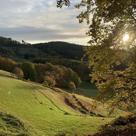 アパート Schoenes Einzimmer Schwarzwald Mit Balkon In