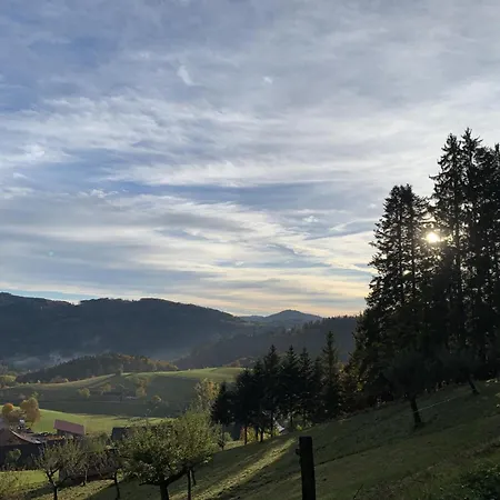 Schoenes Einzimmer Schwarzwald Mit Balkon In Apartment *